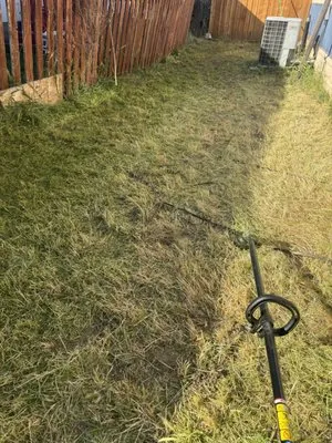 Carlos Reforestation Logo