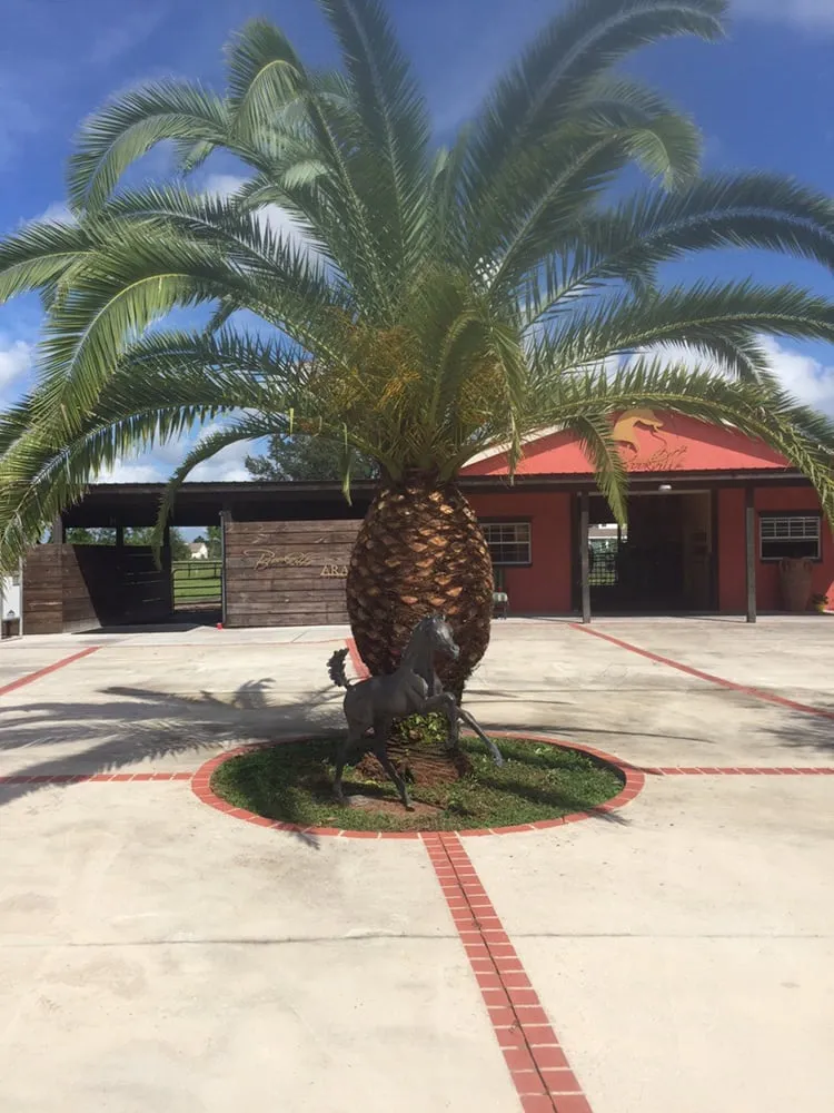 Professional garden landscaping in Bradenton, FL by Carlos Reyes Lawn Service