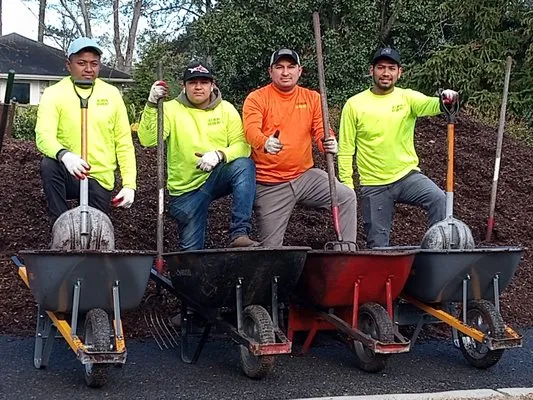 Carlo's Team Landscaping