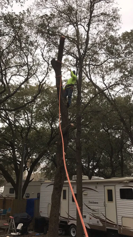 Top-rated landscape installation in Dickinson, TX by Carlos Tree Service & Stump Grinding