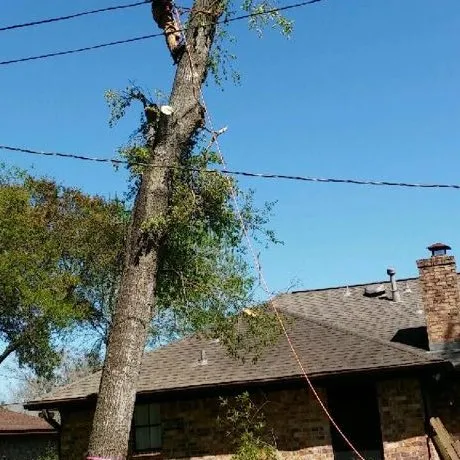 Trusted garden landscaping in Dickinson, TX by Carlos Tree Service & Stump Grinding