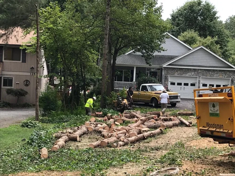 Affordable lawn mowing service in Fredericksburg, VA - Carlos Tree Service