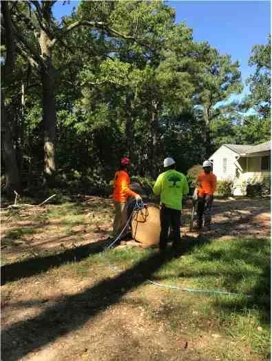 Local yard cleanup service for homes across Fredericksburg, VA - Carlos Tree Service