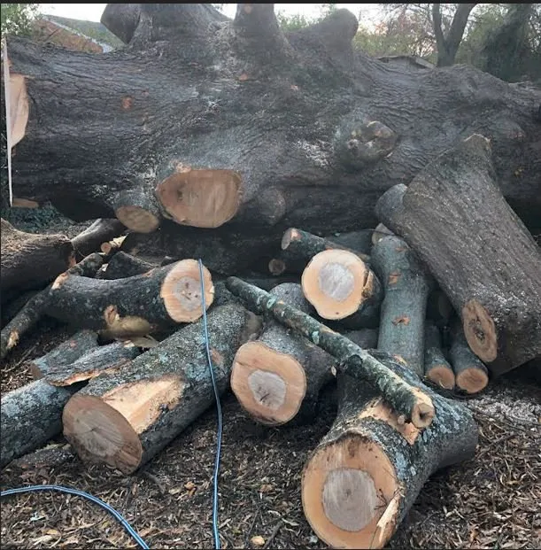 Expert lawn mowing service for residential properties across Fredericksburg, VA - Carlos Tree Service