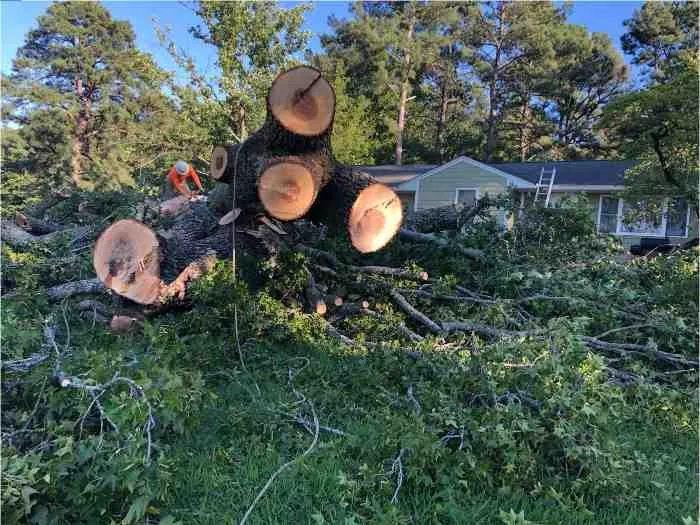 Reliable landscape installation for beautiful yards in Fredericksburg, VA by Carlos Tree Service