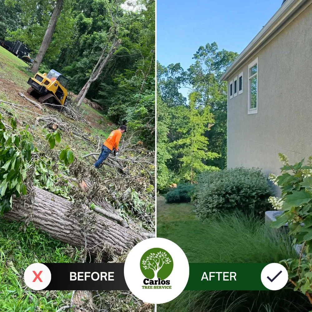 Local lawn mowing service in Locust Grove, VA by Carlos Tree Service