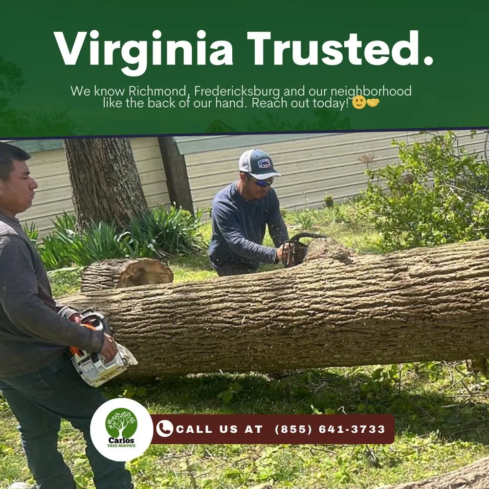 Top-rated landscape design in Locust Grove, VA by Carlos Tree Service