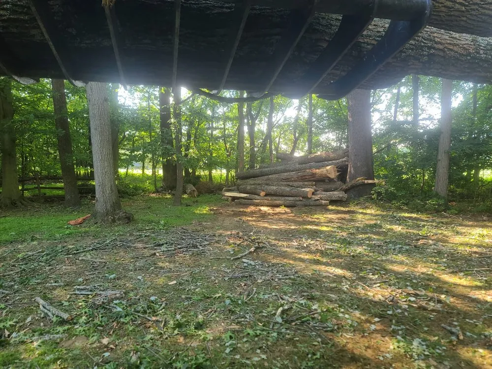 Local residential landscaping with custom design across Locust Grove, VA - Carlos Tree Service
