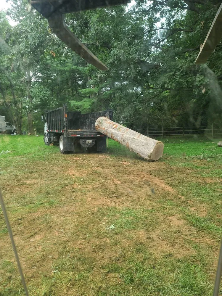 Professional outdoor landscaping in Locust Grove, VA - Carlos Tree Service