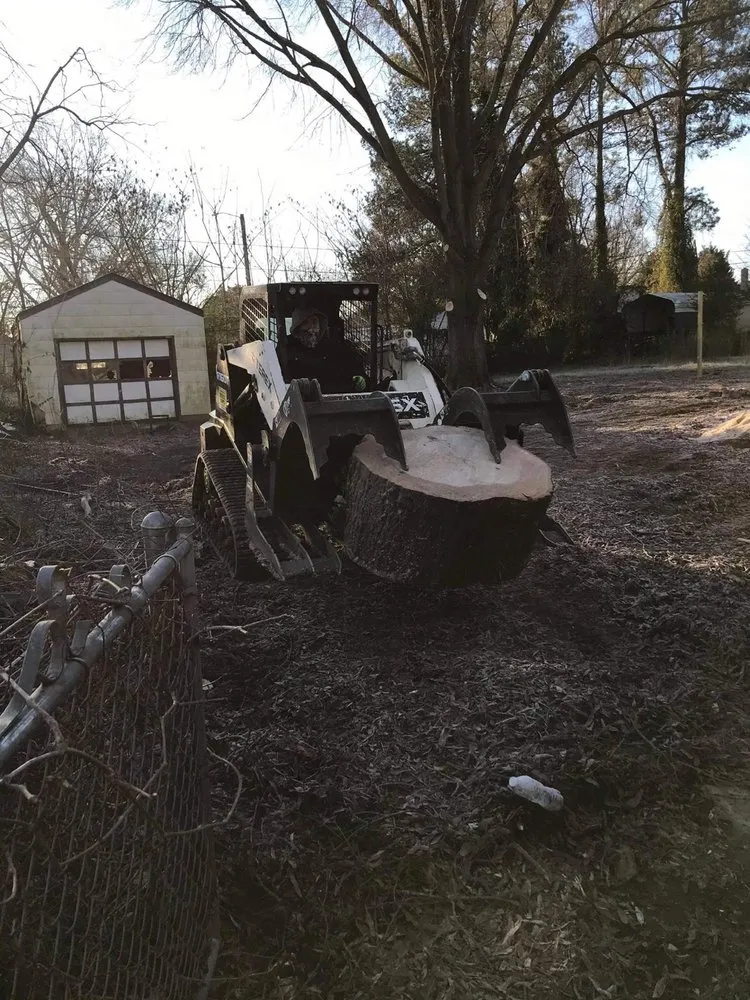 Local yard cleanup service for outdoor upgrades across Locust Grove, VA - Carlos Tree Service