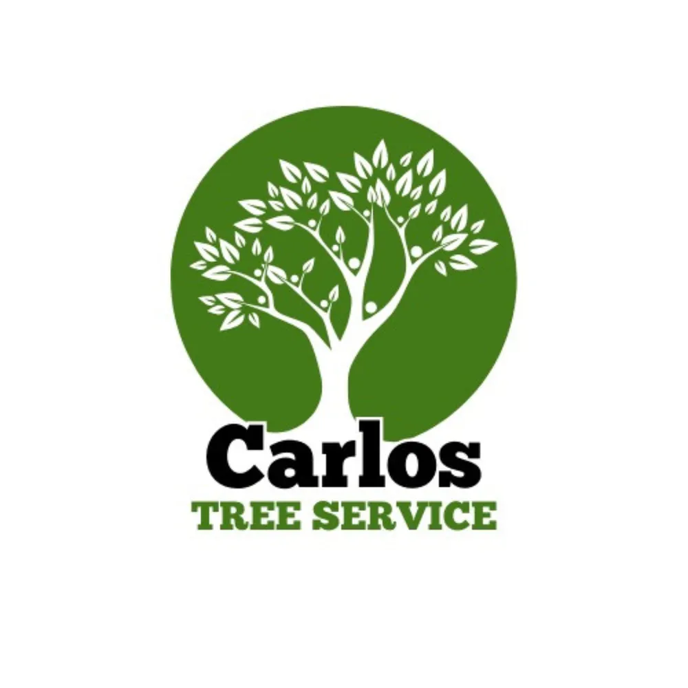 Affordable yard cleanup service in Locust Grove, VA by Carlos Tree Service