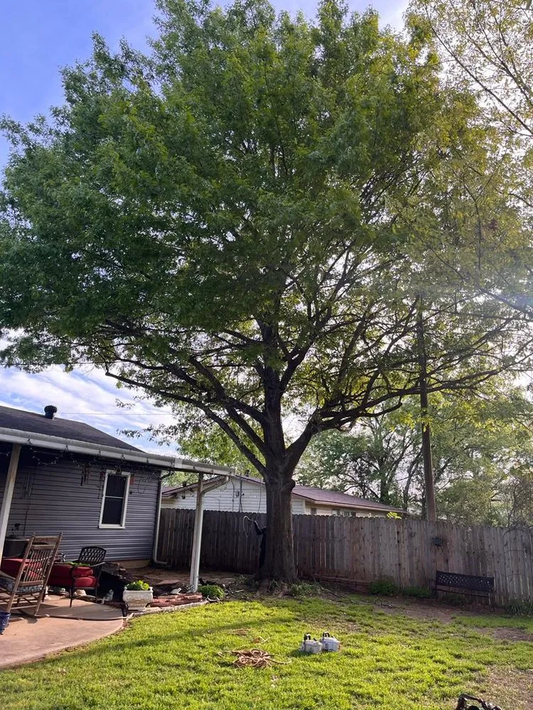 Custom landscaping services for residential properties across Locust Grove, VA - Carlos Tree Service