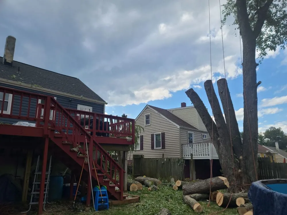Custom yard maintenance for year-round maintenance in Locust Grove, VA by Carlos Tree Service