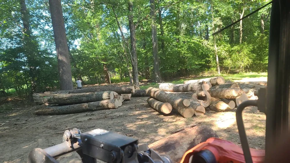 Professional lawn mowing service experts serving Locust Grove, VA - Carlos Tree Service
