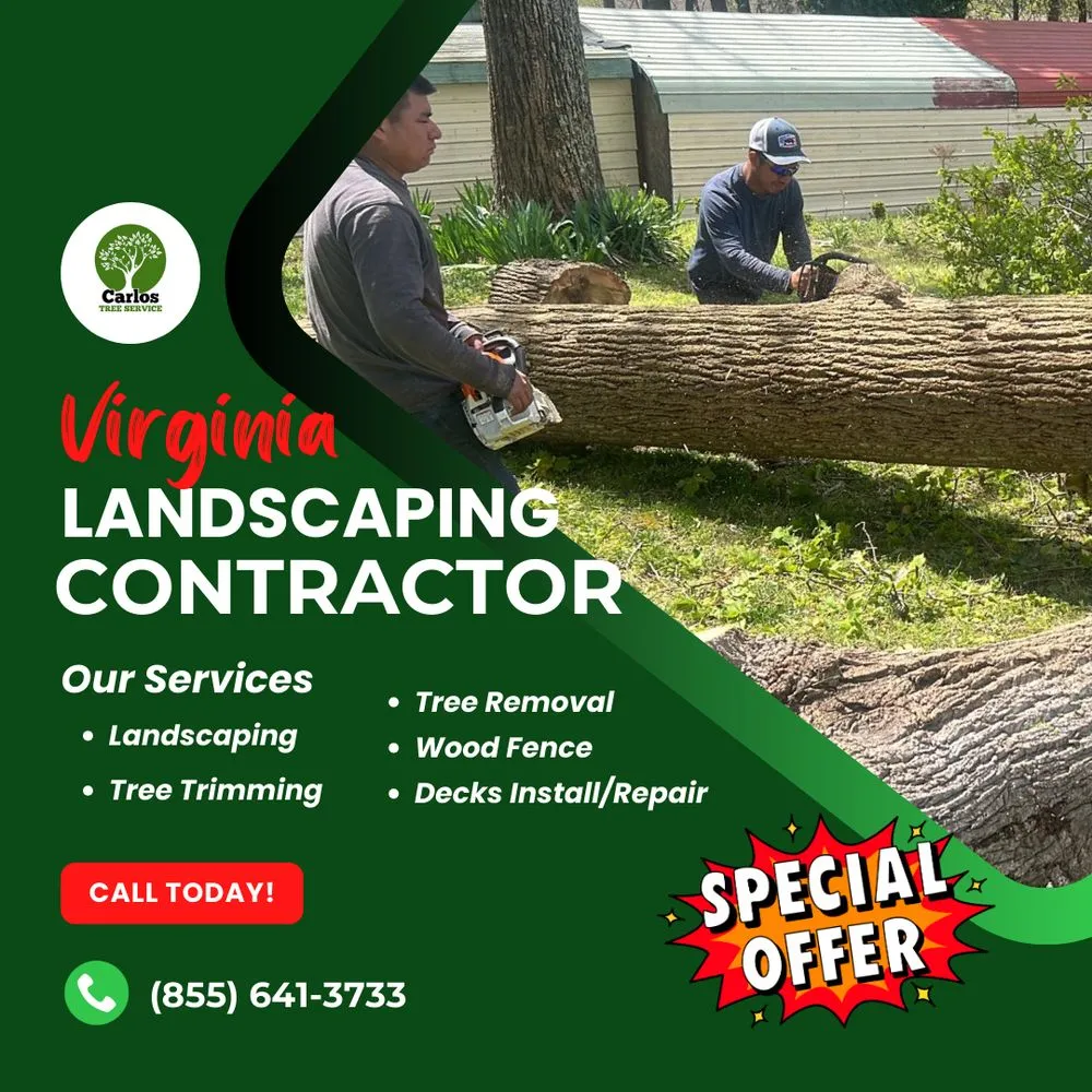 Top-rated yard cleanup service for year-round maintenance across Locust Grove, VA - Carlos Tree Service
