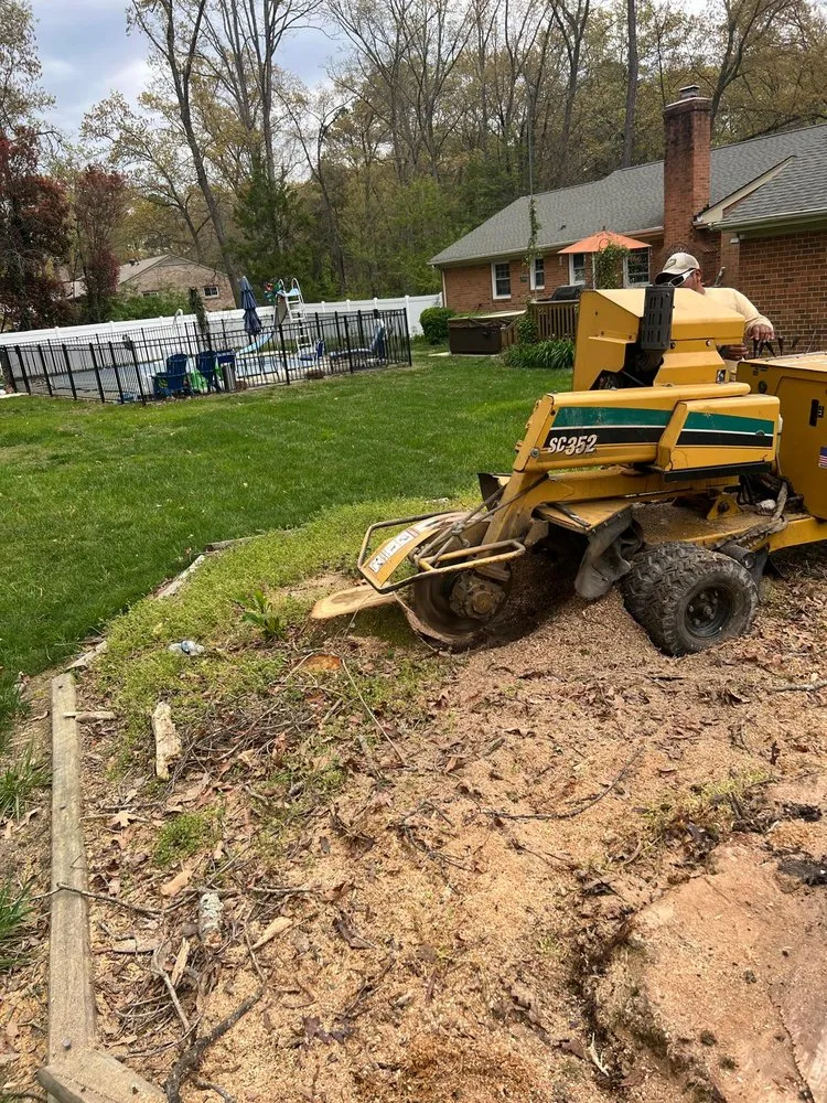 Trusted lawn care service for beautiful yards in Locust Grove, VA by Carlos Tree Service