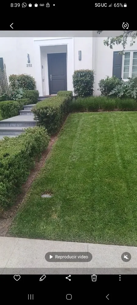 Expert landscape design in Bakersfield, CA - Carlos Yard Servíce