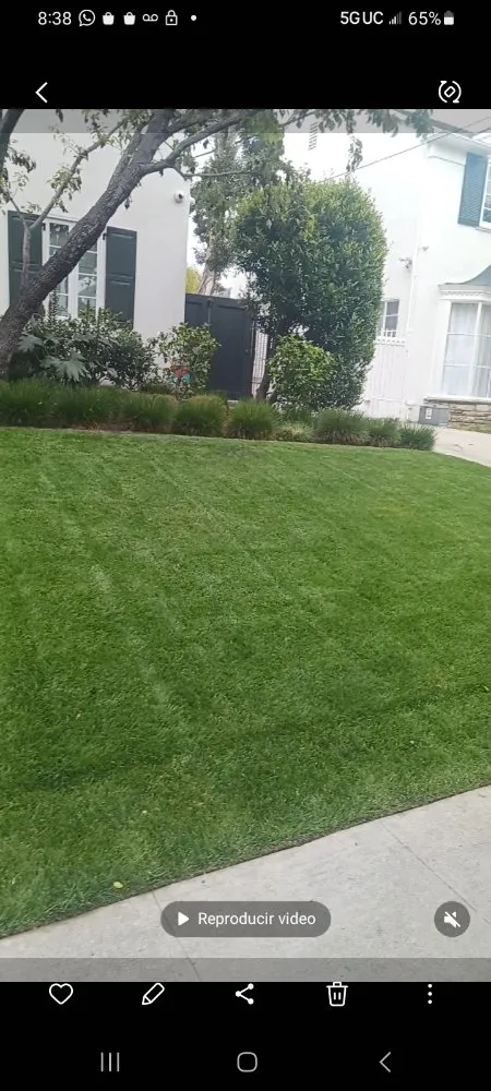 Reliable landscaping services in Bakersfield, CA by Carlos Yard Servíce