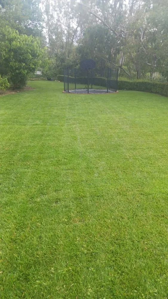 Custom landscape design experts serving Bakersfield, CA - Carlos Yard Servíce