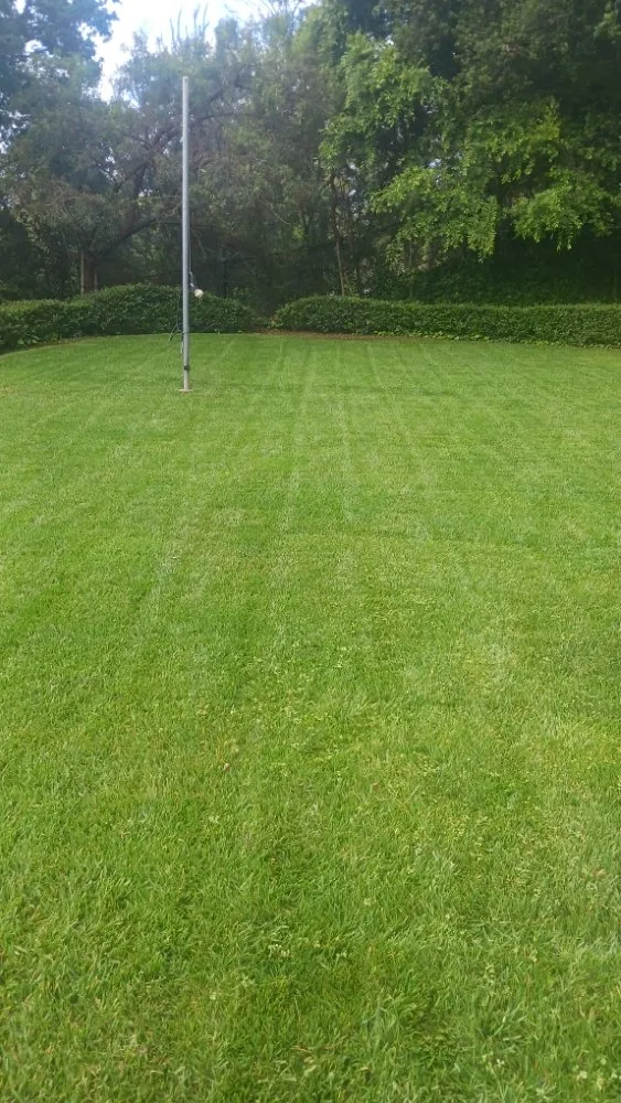 Trusted landscape design for year-round maintenance across Bakersfield, CA - Carlos Yard Servíce