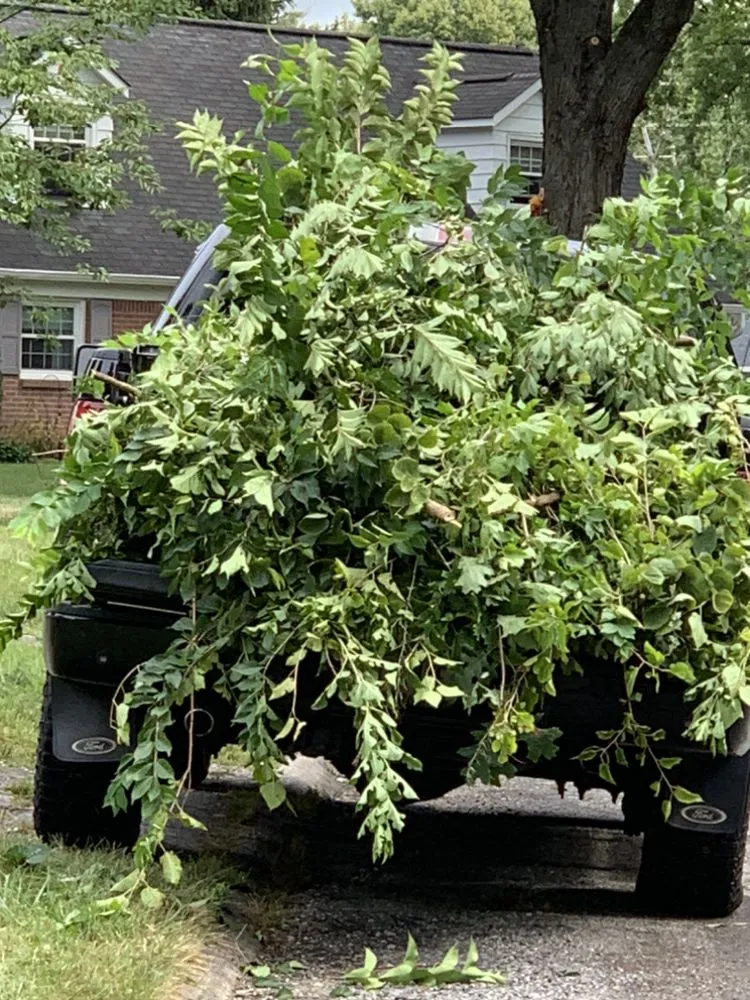 Top-rated landscaping services experts serving Indianapolis, IN - Carls Landscaping