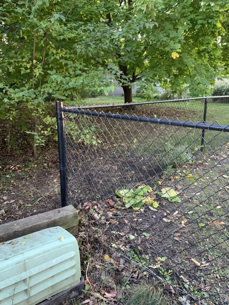 Reliable outdoor landscaping for year-round maintenance in Indianapolis, IN by Carls Landscaping