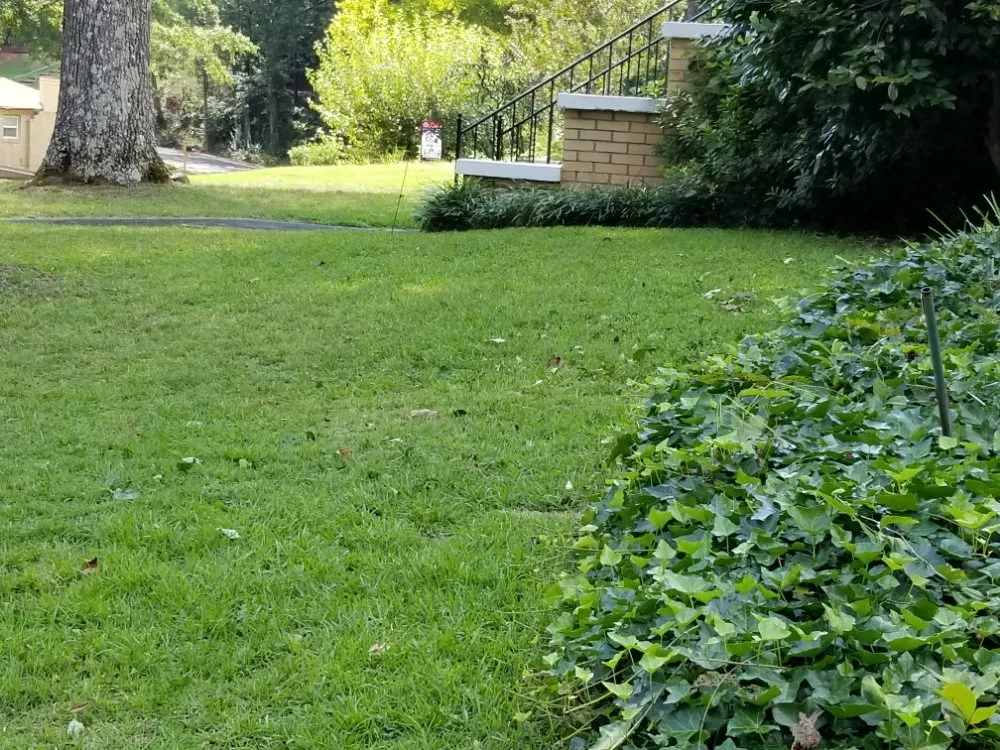 Affordable garden landscaping in Anniston, AL by Carl's Lawn Service