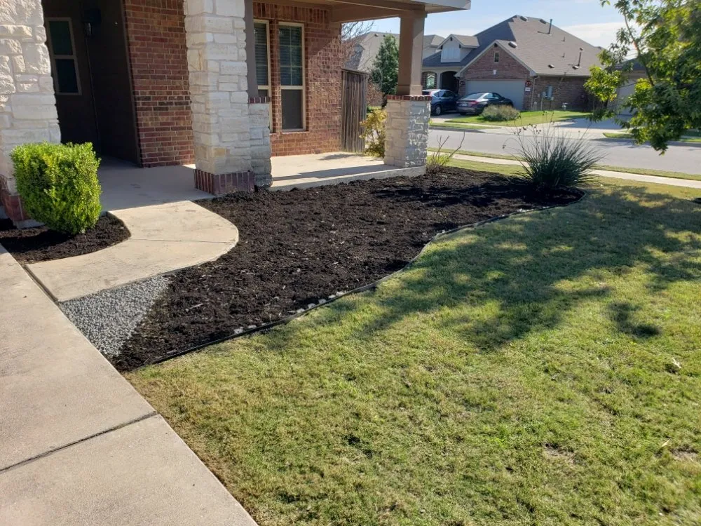 Expert landscaping services for year-round maintenance in Austin, TX by Carl's Lawn Services