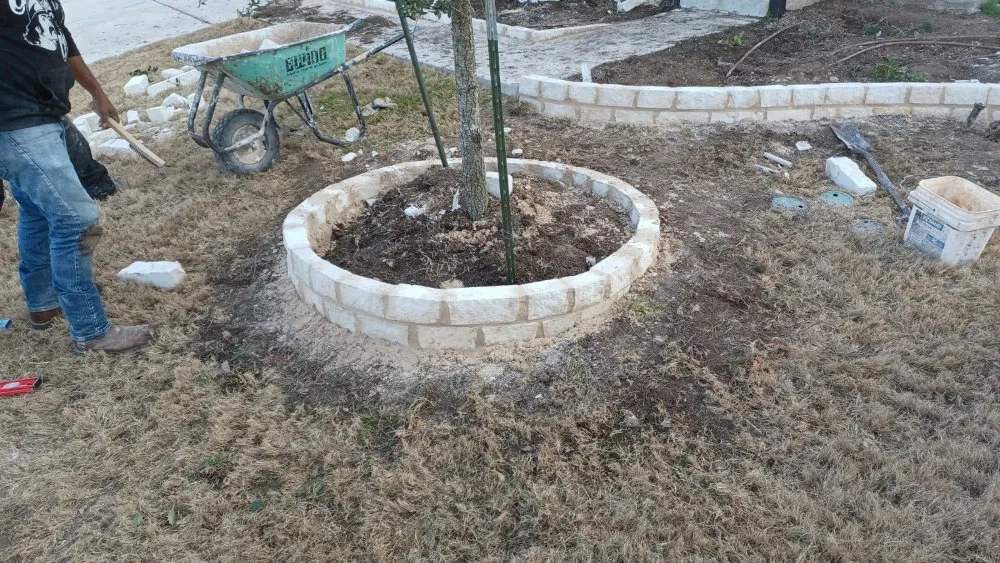 Reliable landscaping services in Austin, TX - Carl's Lawn Services