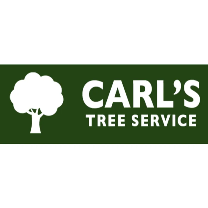 Expert yard cleanup service in Terrell, TX by Carl's Tree Service