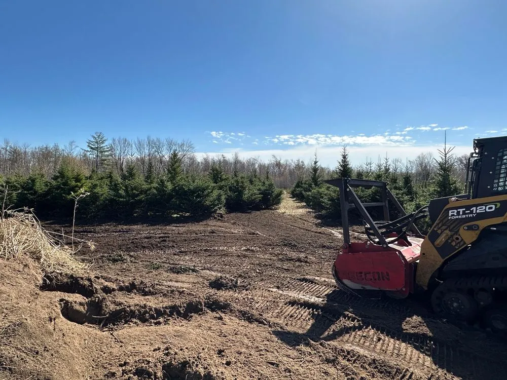 Professional yard maintenance near you in Peshtigo, WI by Carlson Earthwork and Construction