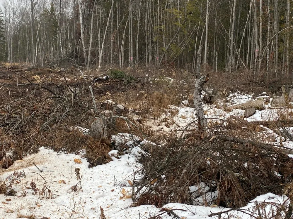 Reliable lawn mowing service in Peshtigo, WI - Carlson Earthwork and Construction