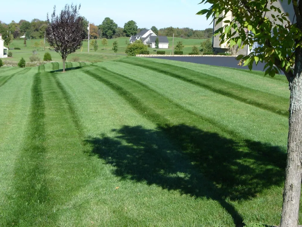 Top-rated residential landscaping for homes in Ottsville, PA by Carlson Landscaping