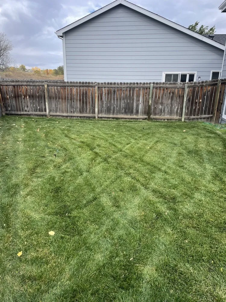 Local landscape design for residential properties across Fort Collins, CO - Carlson Lawn Care