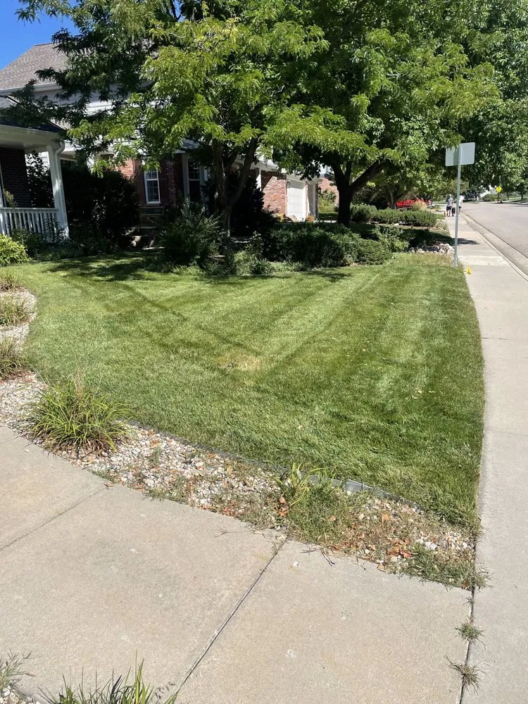 Reliable landscape installation for outdoor upgrades across Fort Collins, CO - Carlson Lawn Care