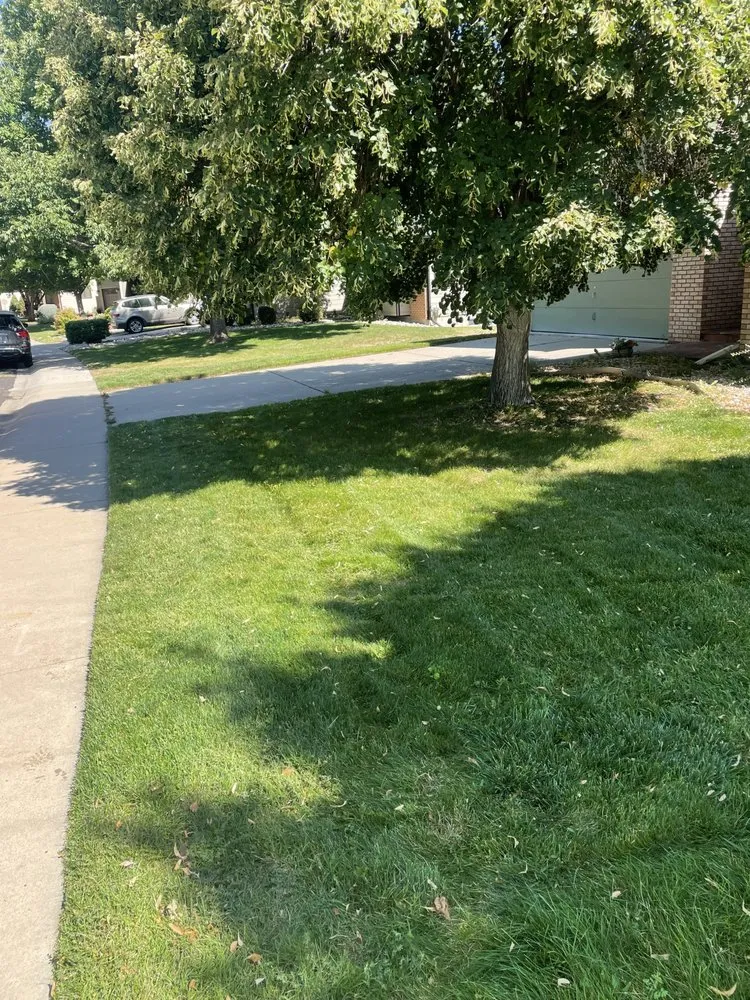 Expert landscaping services in Fort Collins, CO by Carlson Lawn Care