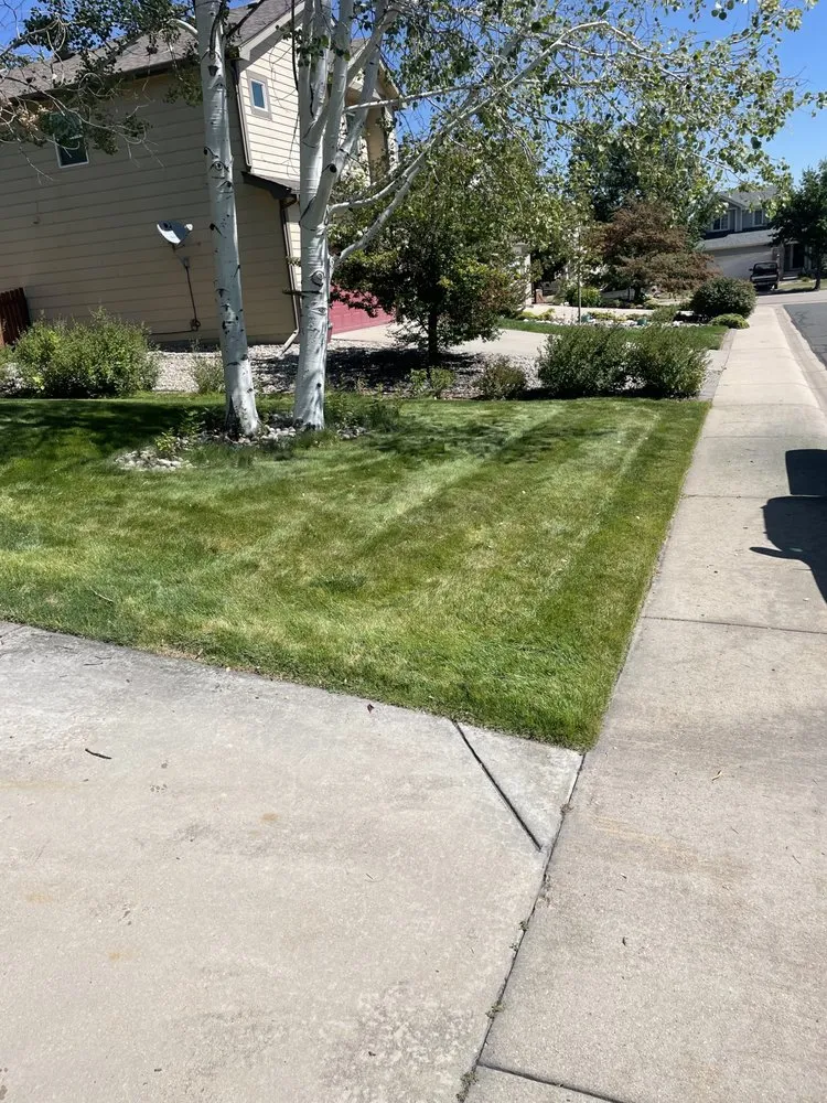 Top-rated landscape design for outdoor upgrades in Fort Collins, CO by Carlson Lawn Care