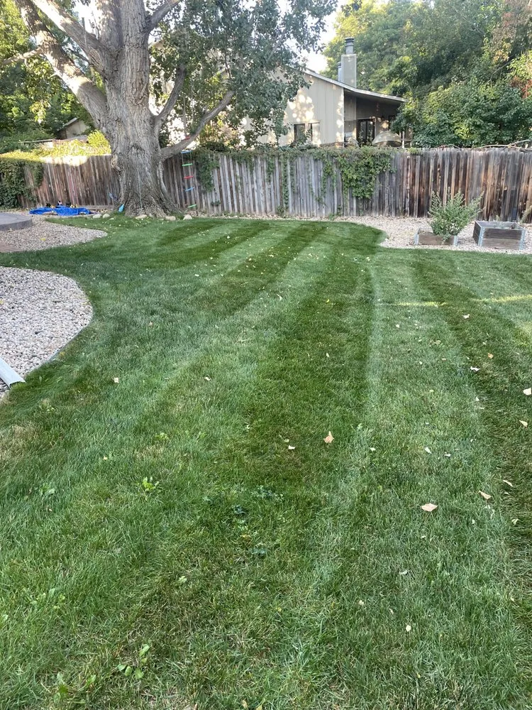 Professional lawn care service for outdoor upgrades in Fort Collins, CO by Carlson Lawn Care