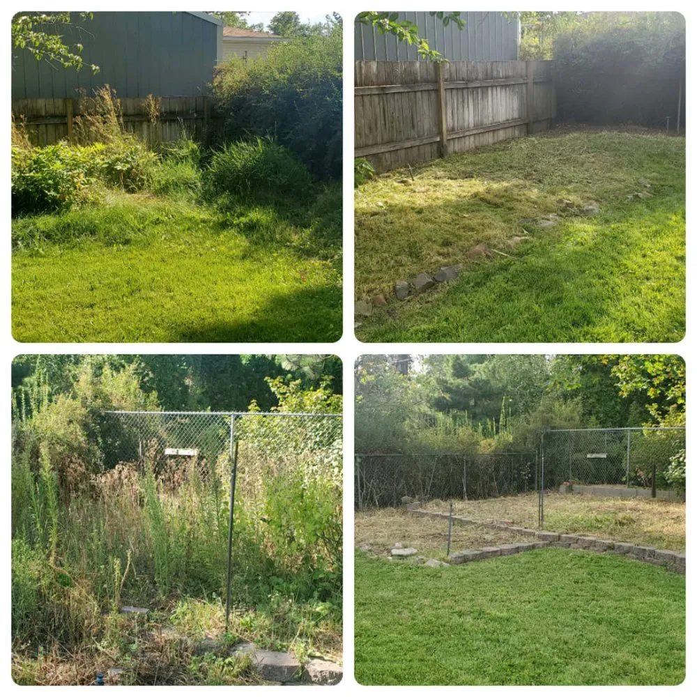 Affordable landscaping services in Spokane, WA by Carlson Lawn Care