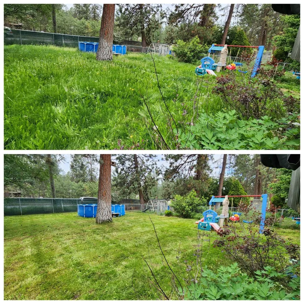 Expert residential landscaping for beautiful yards in Spokane, WA by Carlson Lawn Care