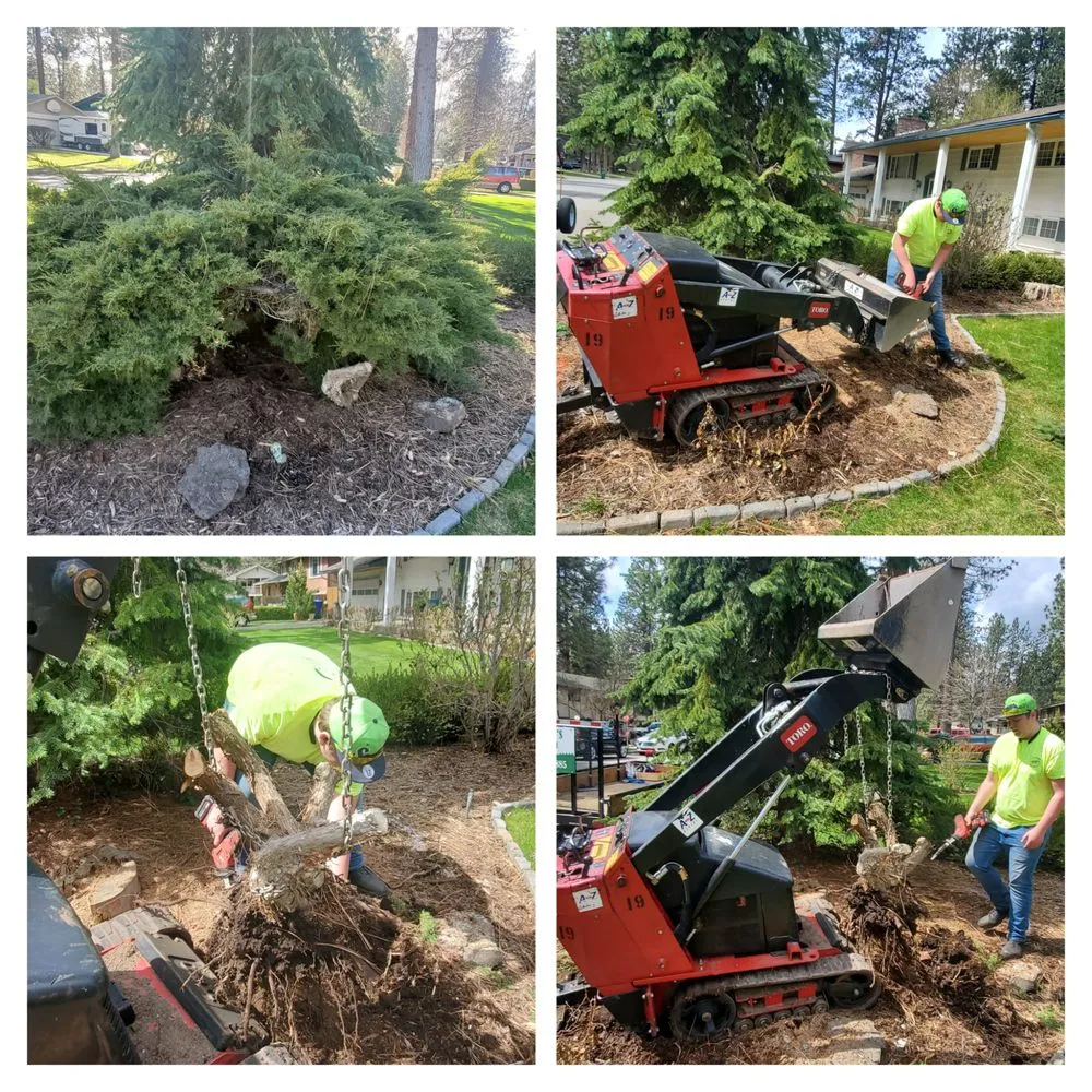 Expert landscape installation experts serving Spokane, WA - Carlson Lawn Care