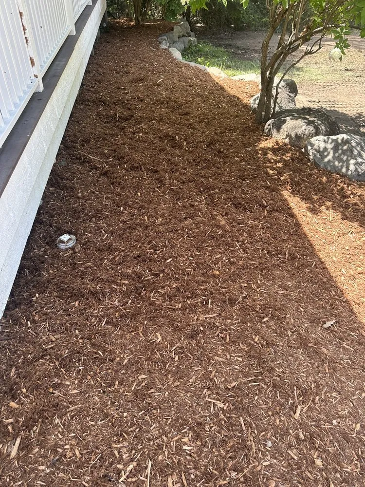 Top-rated landscaping services with custom design across Waterford Township, MI - Carlson Lawn