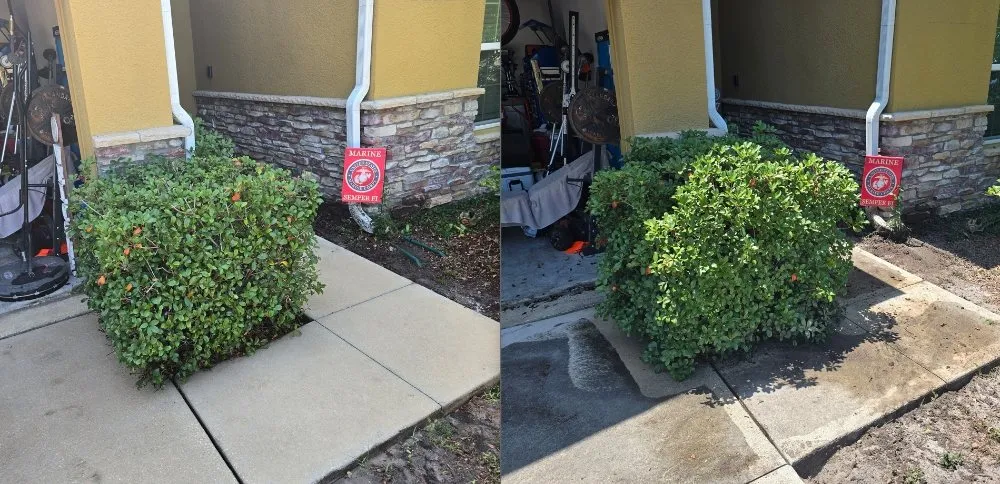 Trusted residential landscaping experts serving Spring Hill, FL - Carlson Unlimited