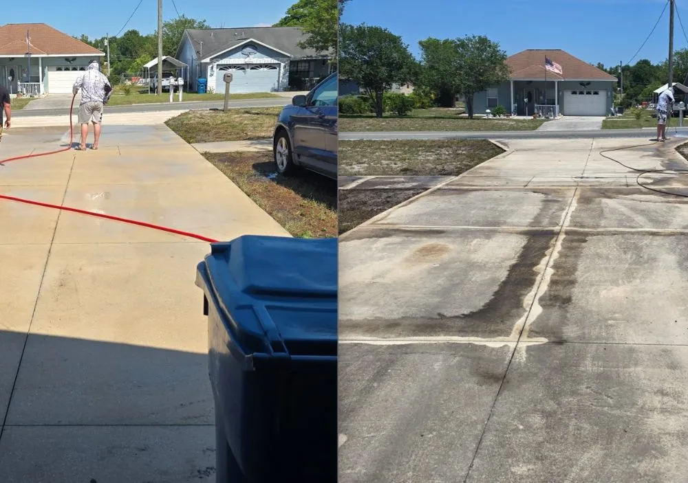 Top-rated landscape installation with custom design across Spring Hill, FL - Carlson Unlimited