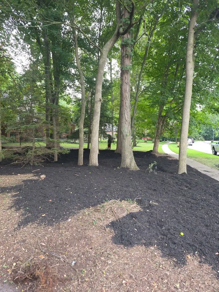 Local outdoor landscaping for beautiful yards in Findlay, OH by Carl&Sons Property Services