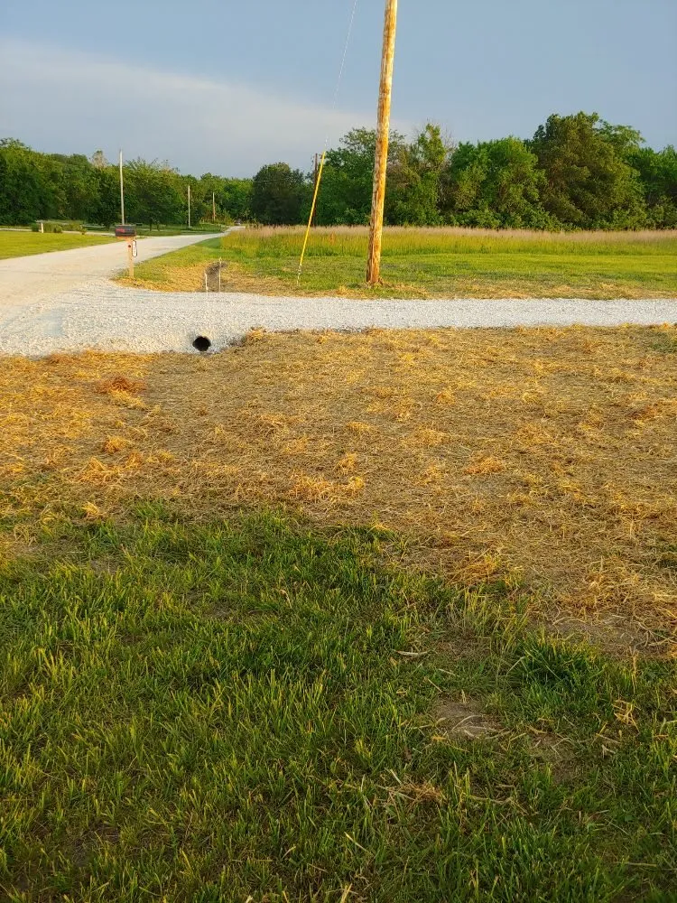 Professional yard cleanup service for outdoor upgrades across Holden, MO - Carlton Dirt Work