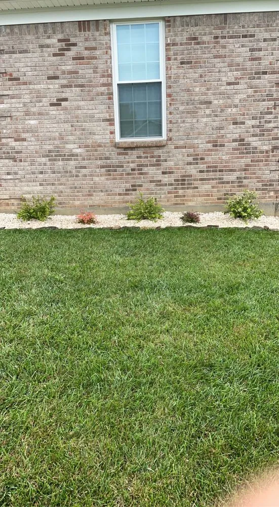 Affordable yard maintenance experts serving Louisville, KY - Carly Scapes