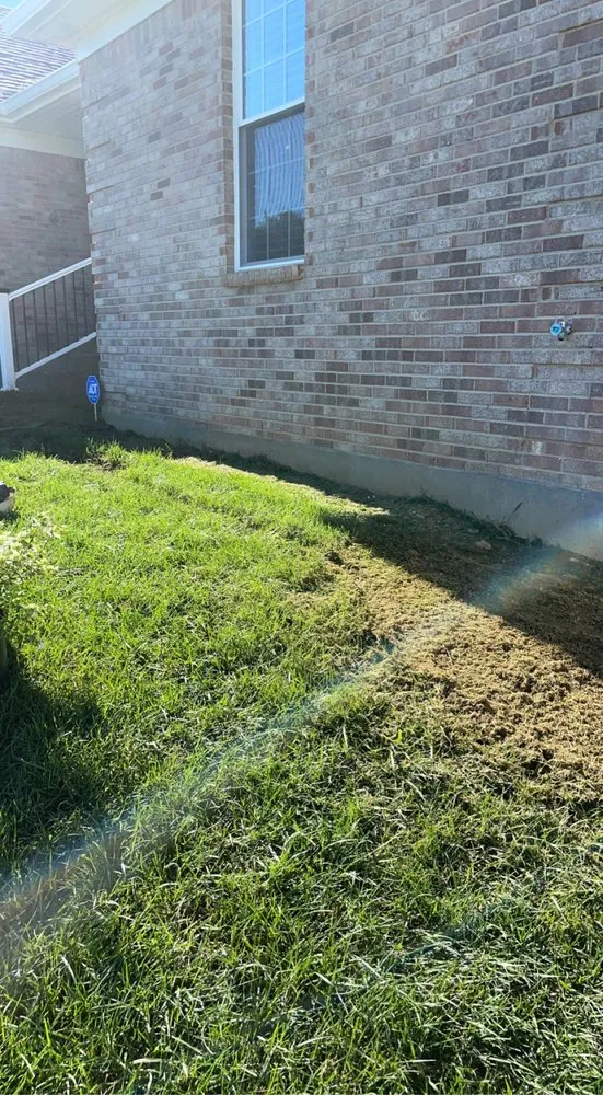 Expert landscape installation for year-round maintenance across Louisville, KY - Carly Scapes