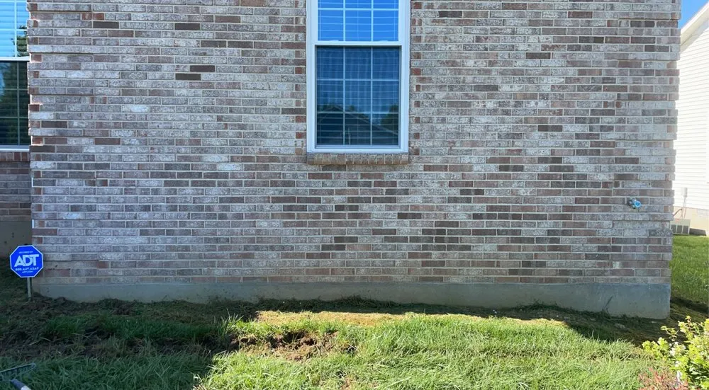 Trusted lawn care service in Louisville, KY - Carly Scapes