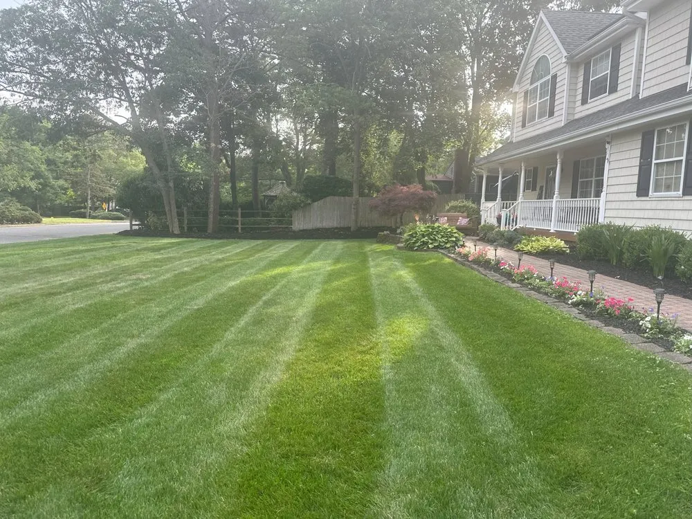 Professional yard cleanup service in Ridge, NY by Carman Landscaping